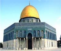 مستوطنون يقتحمون «المسجد الأقصى» بحراسة مشددة من الاحتلال الإسرائيلي