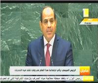 ننشر نص كلمة مصر أمام الدورة 74 للجمعية العامة للأمم المتحدة