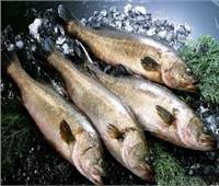 «التموين» تطرح الأسماك المجمدة بأسعار أقل 40% عن الأسواق