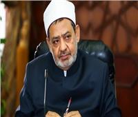 الإمام الأكبر يعود إلى القاهرة بعد رحلة علاج في فرنسا