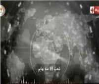 فيديو| إخواني يتطاول على شعب مصر: 95% منه بهايم
