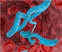 الكونغو الديمقراطية: حالات الإصابة بفيروس «الإيبولا» تتخطي حاجز 3000 شخص