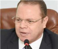 محامي يتهم الهاربان «ناصر وعبد القوي» بالتحريض ضد الدولة