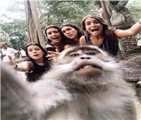 صور| «سيلفي القرود» أحدث طرق لتنشيط السياحة في بالي 