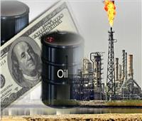 بيانات معهد البترول الأمريكي تؤكد هبوط في مخزونات النفط والوقود 