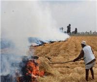 بالأقمار الصناعية.. مصر ترصد مخالفات حرق قش الأرز