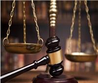 الاثنين.. استكمال سماع الشهود في محاكمة 555 متهما بـ «ولاية سيناء 4»