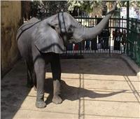 فيديو| حديقة الحيوان بدون «فيل» لأول مرة بالتاريخ..  والأطفال يسألون عن «نعيمة»