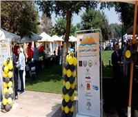 تواصل فعاليات مهرجان عسل النحل في مصر لليوم الثاني على التوالي