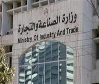 «التجارة والصناعة» يستقبل أحد مستثمري «مصر تستطيع بالاستثمار»