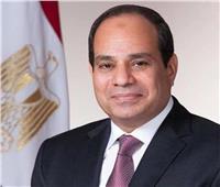 الرئاسة المصرية تكشف عن ملامح الإعلان الختامي للقمة الروسية الأفريقية