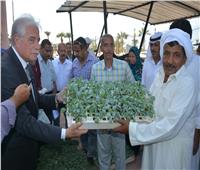«فوده» يوزع شتلات خضراوات متنوعة مجانا على المواطنين