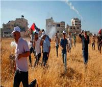 الاحتلال الإسرائيلي يقمع المشاركين في يوم تطوعي لقطف الزيتون جنوب نابلس
