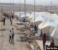 مفوضية اللاجئين: وصول 900 لاجئ سوري لمخيم بردارش بالعراق 