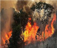 حريق غابات بولاية كاليفورنيا يدفع 2000 شخص للفرار من منازلهم