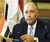 مصر تطالب بالوقف الفوري للعدوان على شمال سوريا وانسحاب القوات المعتدية