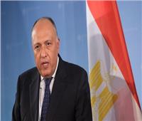 مصر تدين العدوان التركي على سوريا.. وقطر تعتبره حقها في الدفاع الشرعي