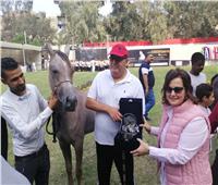 نائب وزير الزراعة تفتتح بطولة مصر القومية والدولية لجمال الخيول العرببة