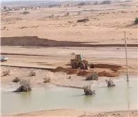 زراعة 25 ألف فدان قمح وشعير على مياه السيول بوسط سيناء