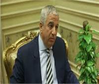 «خارجية النواب» تبحث سبل تعزيز العلاقات مع جمعية الصداقة المصرية النيوزيلندية 
