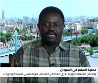  فيديو| محلل سياسي: الأجواء مهيأة لتحقيق السلام  في السودان