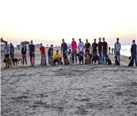 صور| «كلاب دمياط» يحتفلون بالهالوين على البحر