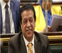 «المسعود» يشيد بأداء وفد مصر المشارك في مراجعة حقوق الإنسان بجنيف