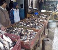 استقرار أسعار الأسماك في سوق العبور..  اليوم ١٩ نوفمبر