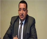 عبد القادر: صندوق تشجيع الاستثمار في أفريقيا يحقق مصالح مصر وألمانيا