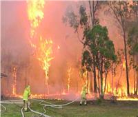 رجال الإطفاء يكافحون لإخماد مئات من حرائق الغابات في أستراليا