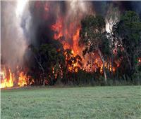 دخان حرائق الغابات الأسترالية يدفع سيدني لقائمة أكثر 10 مدن تلوثا