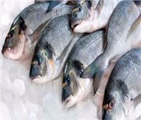ضبط 25 طن أسماك منتهية الصلاحية في ثلاجات بالقليوبية