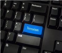الشرطة الأوروبية تعطل خوادم إنترنت لتنظيم داعش