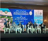 الوكيل: مصر تدعم العمل المشترك بين الدول العربية في الطاقة النووية