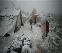 شاهد| تقرير يوضح أوضاع اللاجئين في مخيم «فوكيجاك» بالبوسنة
