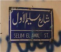 فيديوجراف| مطالبات بإزالة اسم «سلطان الدم» عن أحد شوارع القاهرة 