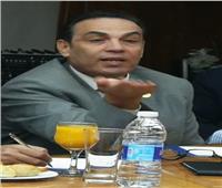 ثروت بخيت: البرلمان المصري أدي دورًا جيدًا في تشريع قانون الاستثمار