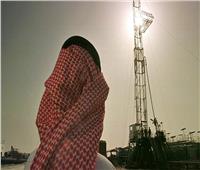 وزير الطاقة السعودي لـ«سبوتنيك»: سنفاجئ العالم  