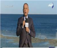 فيديو| أحمد موسى: أحمد أبو الغيط أكد أن ما حدث ليس ربيعا عربيا