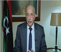 رئيس البرلمان الليبي: إجراء انتخابات بإشراف دولي عقب تطهير طرابلس