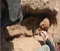 اكتشاف 5 مقابر عمرها نحو ألف سنة شمال غربي الصين