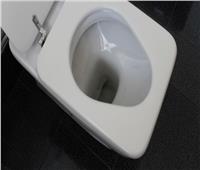 «منعًا للهروب من العمل» اختراع مرحاض غير مريح لزيادة الإنتاج 