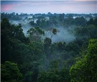 الصين والبرازيل تطلقان قمرا صناعيا لمراقبة غابة الأمازون