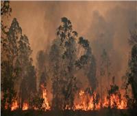 حرائق الغابات تصل إلى مستوى الطوارئ على أطراف سيدني الأسترالية