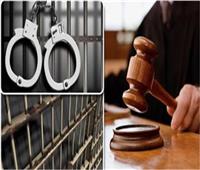 تأجيل محاكمة المتهمين بـ«كتائب حلوان» لـ 13 يناير