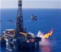 فيديو| خبير: اكتشافات حقول البترول دفعت الاستثمار الأجنبي للعمل في مصر