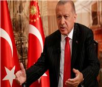العربية لحقوق الإنسان تدين تقديم أردوغان دعما لميليشيات طرابلس