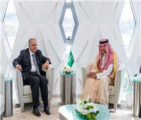الأمير سلطان بن سلمان يبحث مع السفير المصري التعاون بين البلدين 