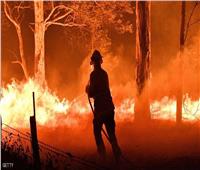 أستراليا تحث السياح على مغادرة السواحل الجنوبية بسبب حرائق الغابات