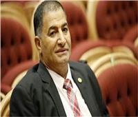 نائب برلماني يطالب بموقف شعبي عربي بمقاطعة البضائع التركية